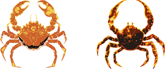 Cancer the Crab, Zodiac Sign Art in Fiery Hues to Inspire and Enchant