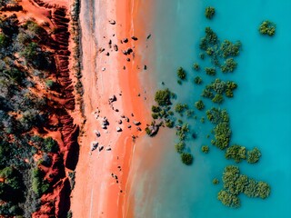 Aerial View of Pink Sandy Beach and Turquoise Blue Water with Green Mangroves and Rocks © Lauren