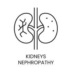 Kidneys, nephropathy line vector icon with editable stroke