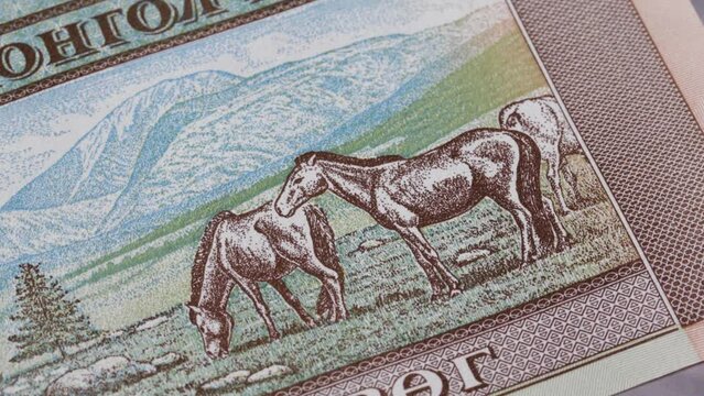 50 Mongolian tugrik MNT national currency money legal tender bill central bank 5