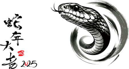 Traditional Chinese Year of the Snake illustration vector 2025, Asian elements, ink style(Translation: Snake Zodiac 2025 Happy New Year)