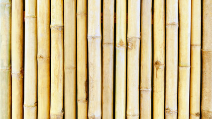 Vertical bamboo texture background with light yellow-brown gradient. For backdrops, summer, nature,...