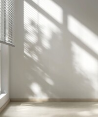 Empty room with white wall in sunlight from window blind, tree shadow on wood laminated floor for...