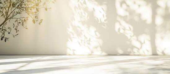 empty white room with foliage shadow background