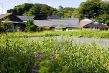 landscape with a house in the background