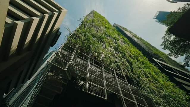 Low view of a modern skyscraper featuring a vertical garden facade. The building integrates greenery into its architecture, in an urban environment and showcasing innovative design. Zoom in