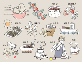 コーヒー豆の精製工程とコーヒーを淹れる男性