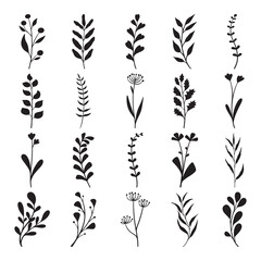 Set of flower and leaves silhouette