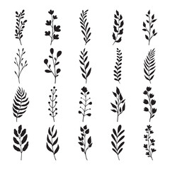 Set of flower and leaves silhouette