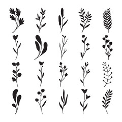 Set of flower and leaves silhouette