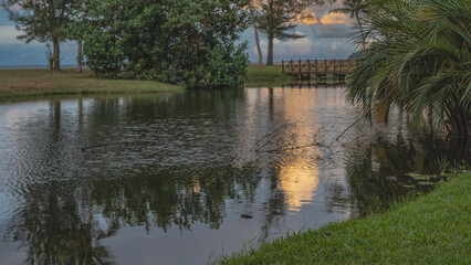 A calm sunset tropical landscape. A wooden pedestrian bridge spans over the river. Green bushes, palm trees, grass on the banks. Clouds in the evening sky illuminated with golden pink. Reflection. 