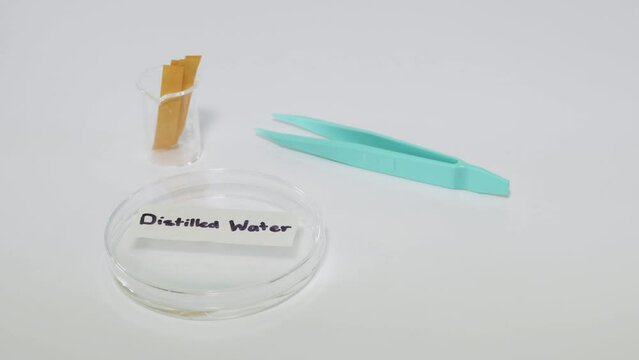 Testing Litmus Paper with Distilled Water
