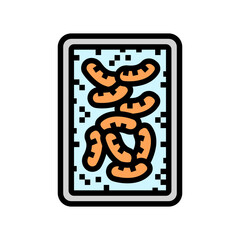 roasted sausage meat color icon vector. roasted sausage meat sign. isolated symbol illustration
