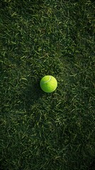 A tennis ball on a short green grass. Viewed from above