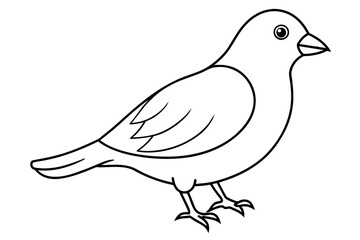 Birds line art vector illustration