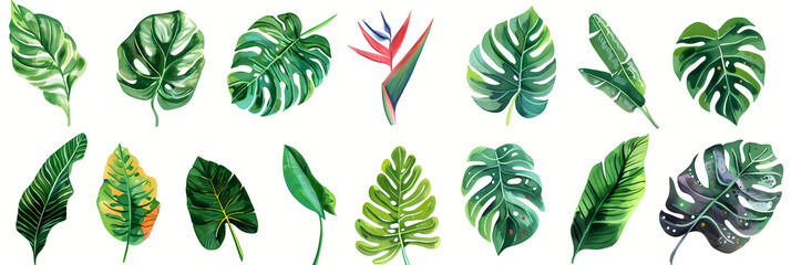 Tropical Leaves Watercolor Collection in Green Tones