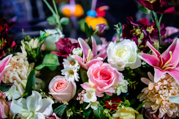 Rose Flowers in soft focus or blurred background and among other multi color orchid flowers.