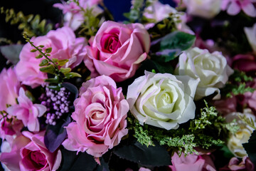 Rose Flowers in soft focus or blurred background and among other multi color orchid flowers.