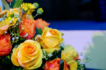 Rose Flowers in soft focus or blurred background and among other multi color orchid flowers.