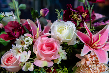 Rose Flowers in soft focus or blurred background and among other multi color orchid flowers.