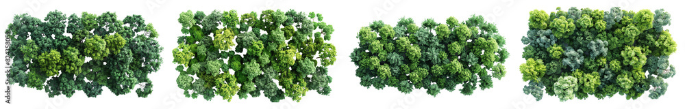 Poster set of from above view green forest trees isolated on transparent backgrounds
