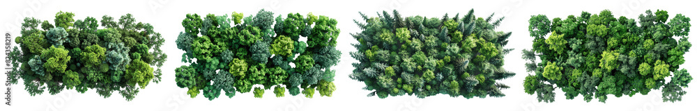 Poster set of from above view green forest trees isolated on transparent backgrounds