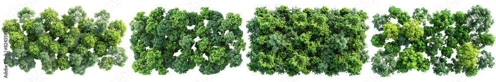 Aufkleber set of from above view green forest trees isolated on transparent backgrounds