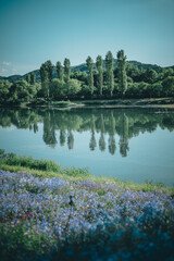 Fototapete bei efototapeten.de bestellen   