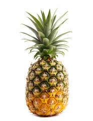 Obraz premium A single pineapple isolated