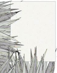 papier avec bordure de feuilles épineuses d’agave 