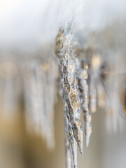 Transparent icicle on a gray background with copy space