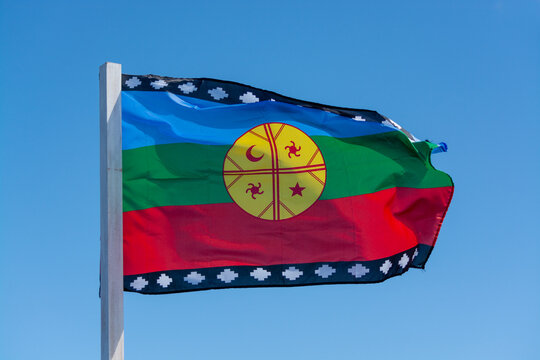 Bandera Mapuche