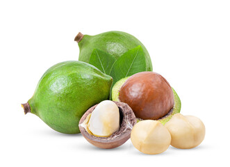 macadamia nuts with leaf isolated on transparent png