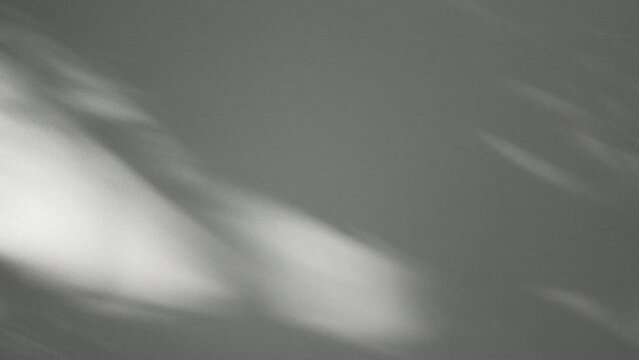 Wall interior background, studio and backdrops show products.with shadow from window color white and grey. background for text insertion and presentation product	