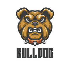 Bulldog Mascot Logo