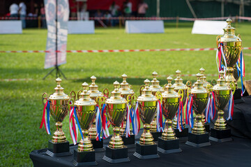 Group of trophy cups, on a table at a sports field for a outdoor event.