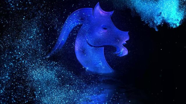 Capricorn zodiac sign