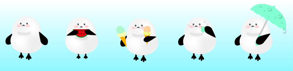 シマエナガ　夏