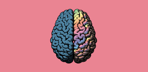 Engraved woodcut pen and ink drawing of top view hemisphere brain separated with blue side and colorful rainbow side vector illustration isolated on pink background