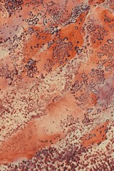 Abstract Aerial View of Desert Terrain With Red Rocks and Dirt Textures Patterns Kimberley Broome...