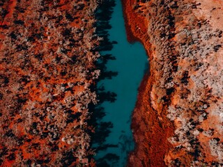 Aerial View of River Surrounded by Trees and Red Rocks Kimberley Western Australia Waterhole...