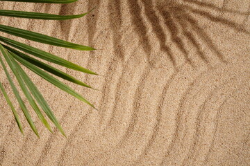 Summer Background Concept, Palm Leaf Shadows on the Sand