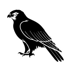 eagle vector design illustration