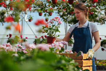 Woman arranging flowers with care