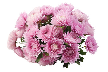 Ethereal Elegance: A Bouquet of Pink Flowers on a White Canvas on a White or Clear Surface PNG Transparent Background.