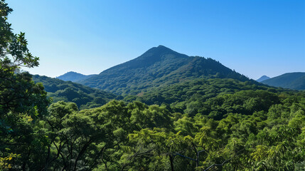 The sky above a mountain peak and a vast forest, where the green of the trees mixes with shades of blue, creating a view full of contrasts and the power of nature that delights and calms.