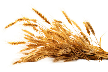 Whispers of Golden Harvest on a White or Clear Surface PNG Transparent Background.