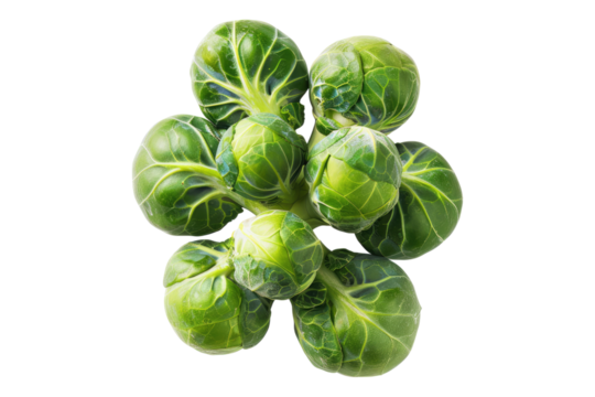 Brussels sprouts isolated on white back ground