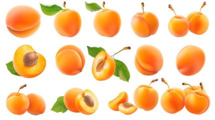 Apricots, transparent picture
