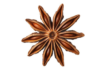 Dry star anise isolated on white background